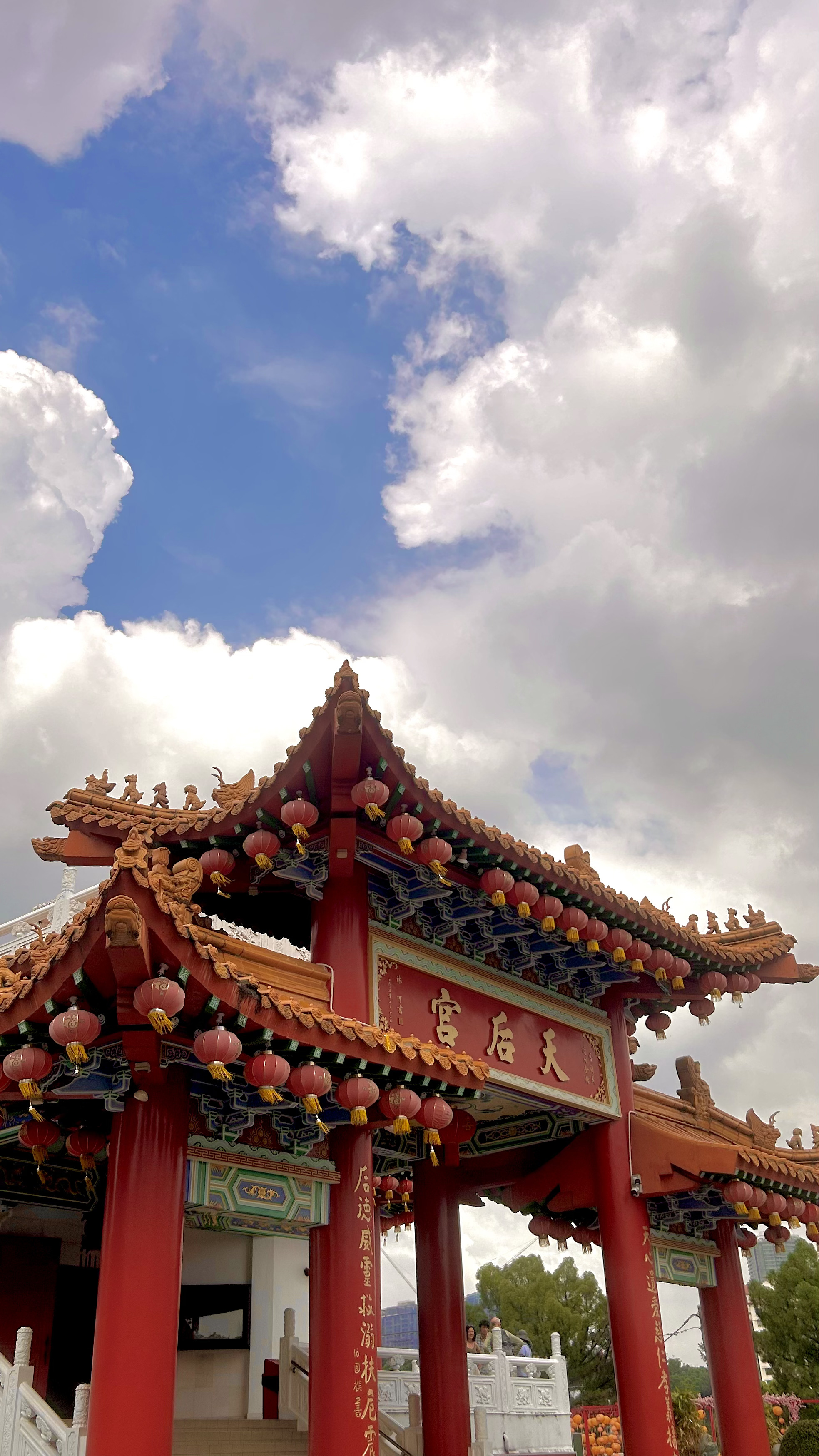 IMG_4956